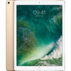 Apple iPad Pro 12,9” Wi-Fi 256Go Or MP6J2