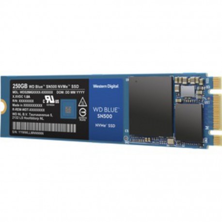 WD 250GB BLUE NVME SSD M.2