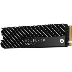 WD 1TB BLK NVME SSD WI HEATSINK