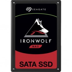 IRONWOLF 110 SSD 960GB