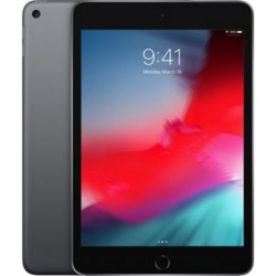 IPAD MINI WI-FI 256GB