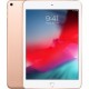 IPAD MINI WI-FI 256GB