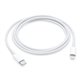 Apple Câble USB-C vers Lightning (1m) MK0X2