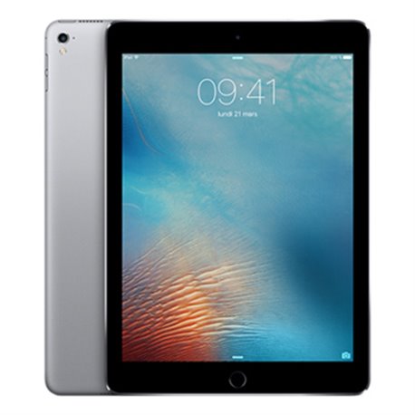 Apple iPad Pro Retina 256Go Wi-Fi + Cellular 9,7" (gris sidéral) MLQ62 (early 2016)
