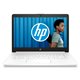 HP AMD 3,1GHz 4Go/1To 14"