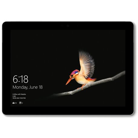 Microsoft Surface Pro i7 16Go/512Go SSD 12,3" (Platine) FKH-00003