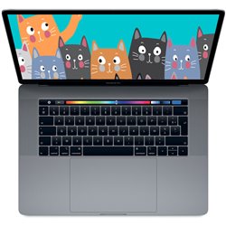 Apple MacBook Pro i7 2,6Ghz 16Go/256Go Radeon Pro 450 15" Touch Gris sidéral MLH32 (late 2016)