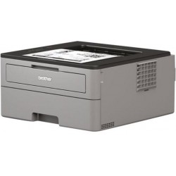 Brother Imprimante Laser Noir et Blanc HL-L2310D