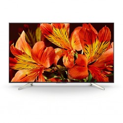 Sony TV LED KD49XF8505 Android TV (occasion)