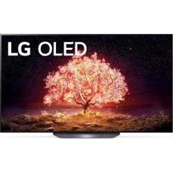 LG TV OLED OLED65B1