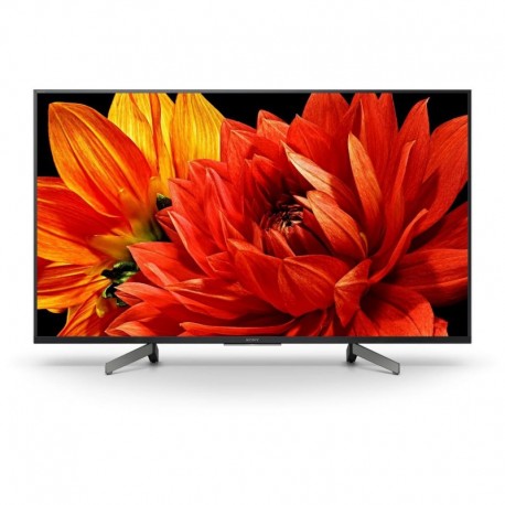 Sony TV LED KD49XG8305