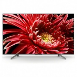 Sony KD-65XG8505 TV LED 4K HDR 164cm Smart TV