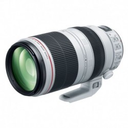 Canon Objectif pour Reflex EF 100-400mm f/4.5-5.6