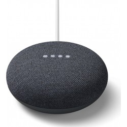 Google Assistant vocal Nest Mini Charbon