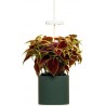 Pret A Pousser Jardin d'intérieur Nano vert foret