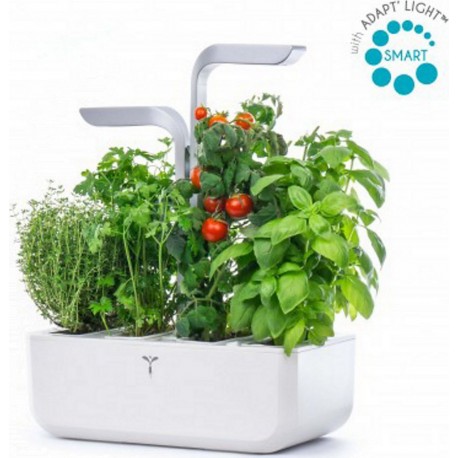 Veritable Jardin d'intérieur Smart Arctic White