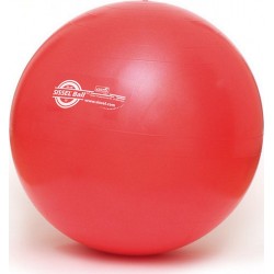 Sissel Ballon de yoga Ball 55cm