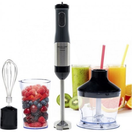 ECO-DE ECODE mixeur à main titanmix evolution. Mixeur à main 800 w, lames double fil de titane, hachoir universel, 21 vitesses