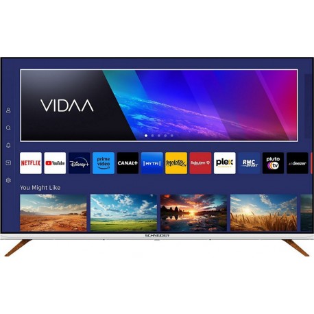 Schneider TV QLED QLED 43F1