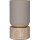 BANG & OLUFSEN Enceinte résidentielle Balance Chene clair