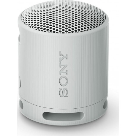 SONY Enceinte portable SRS-XB100 Gris Perle