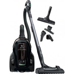 Electrolux Aspirateur sans sac Pure C9 PC91-Green