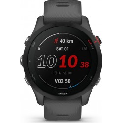 Garmin Montre sport Forerunner 255 Gray