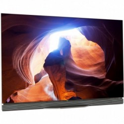 LG TV OLED OLED55E6V Reconditionné