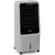 Klarstein Townhouse Ventilateur rafraîchisseur & humidificateur d'air - 2 packs réfrigérants - Gris
