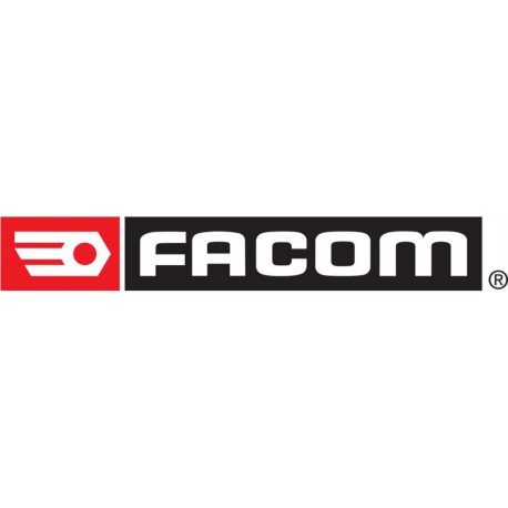 Facom Paroi de protection pour presses d’atelier 50 t