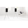 Q Acoustics Enceinte bibliothèque Concept 300 Blanc et Chêne