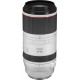 Canon Objectif pour Hybride RF 100-500mm F4.5-7.1 L IS USM