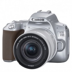 Canon EOS 250D + 18-55mm 24.1mp 4K Argent